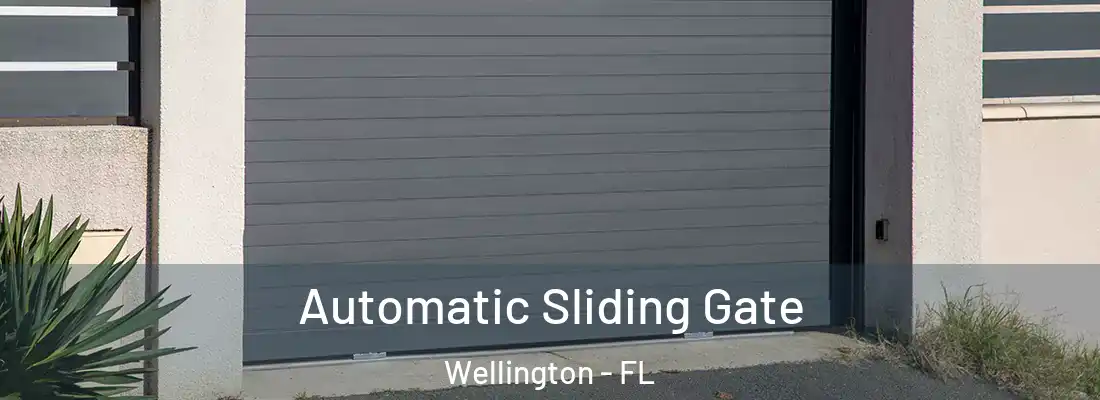  Automatic Sliding Gate Wellington - FL