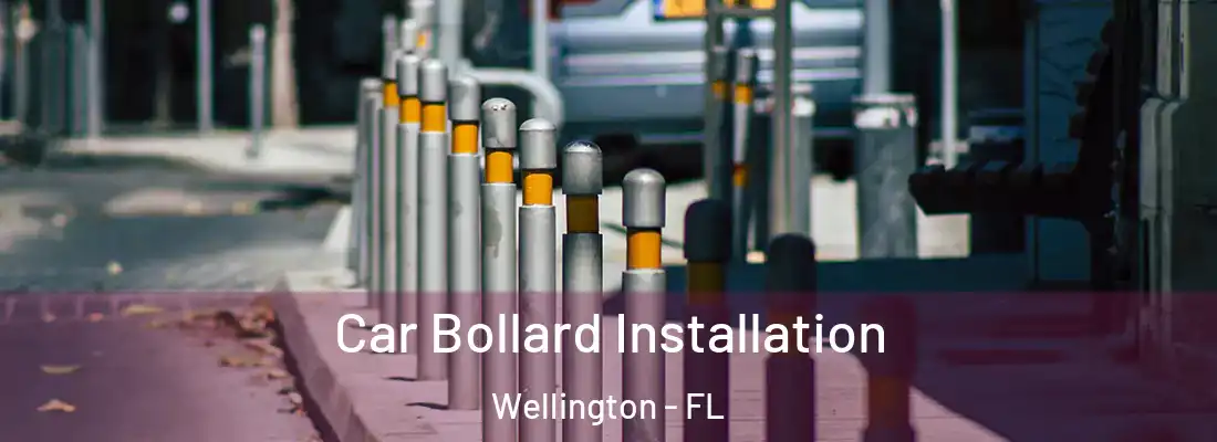  Car Bollard Installation Wellington - FL