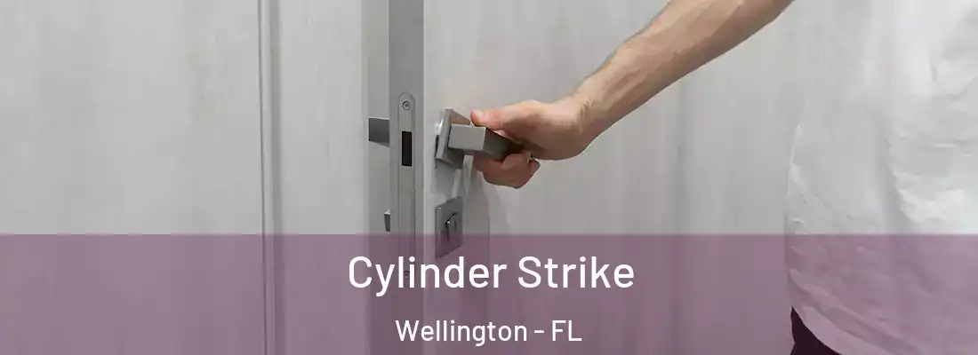  Cylinder Strike Wellington - FL