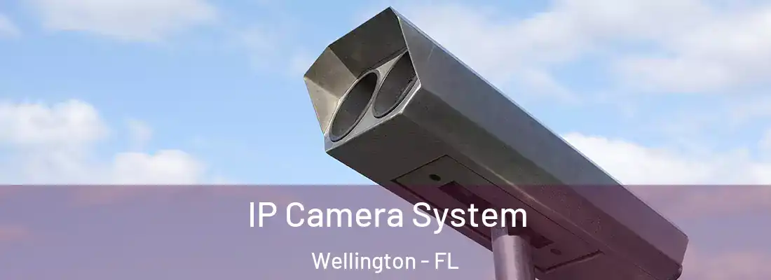  IP Camera System Wellington - FL