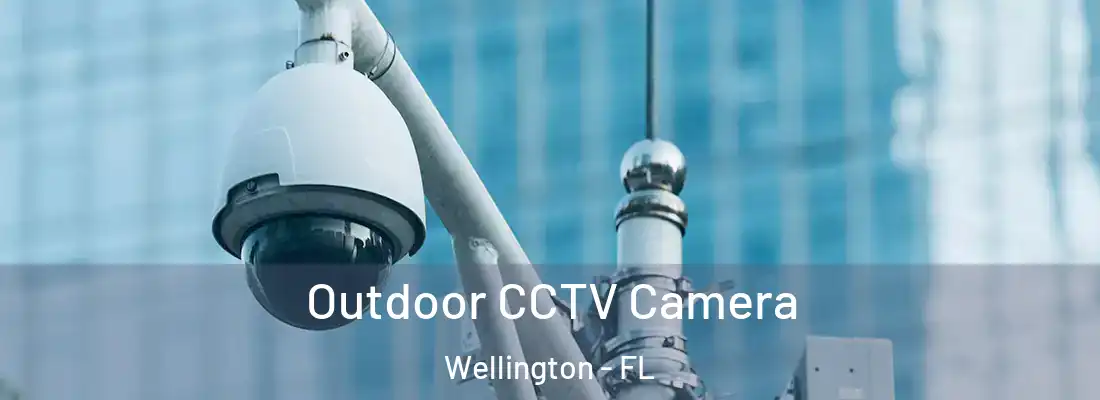 Outdoor CCTV Camera Wellington - FL