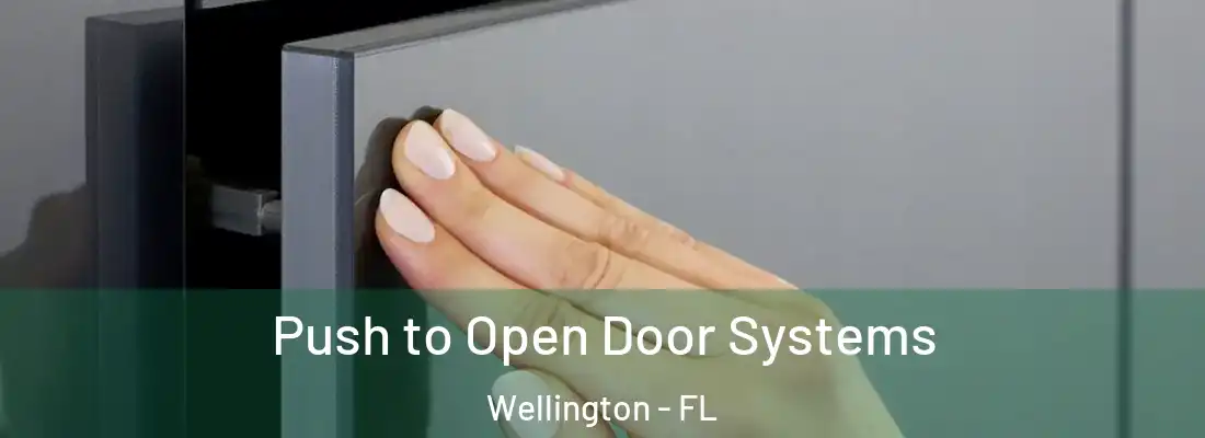  Push to Open Door Systems Wellington - FL