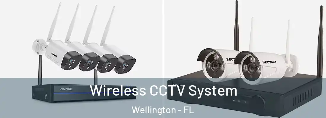 Wireless CCTV System Wellington - FL
